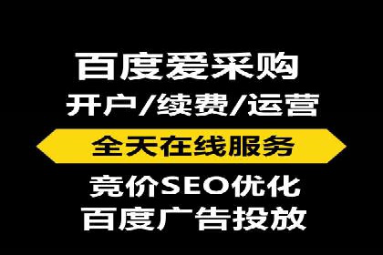 百度SEO与广告结合的多元化推广策略——多行业成功案例